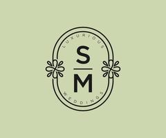 modèle de logos de monogramme de mariage lettre initiales sm, modèles minimalistes et floraux modernes dessinés à la main pour cartes d'invitation, réservez la date, identité élégante. vecteur