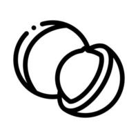 illustration de contour vectoriel icône noix de macadamia