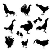 ensemble de coq, silhouettes d'animaux de poulet de différents styles vecteur