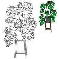 images de plantes ornementales pour livre de coloriage vecteur