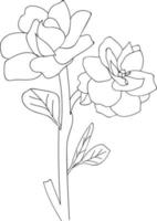 dessin au trait de fleur de gradenia, illustration vectorielle, croquis au crayon dessiné à la main, livre de coloriage et page, isolé sur fond blanc clipart. vecteur