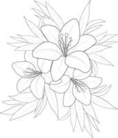 illustration d'une fleur de lys, dessin vectoriel au crayon, page de coloriage floral bouquet et livre isolé sur clipart de fond blanc.