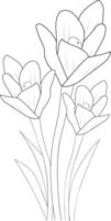 page de livre de coloriage de vecteur de contour noir et blanc pour adultes et enfants fleurs sarrorn avec des feuilles