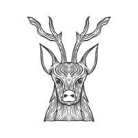 tête de cerf dessin au trait illustration vecteur