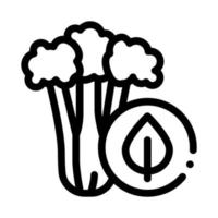illustration vectorielle de l'icône de la plante de céleri vecteur