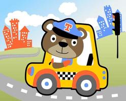 joli dessin animé d'ours conduisant un taxi sur fond de bâtiments, illustration de dessin animé vectoriel