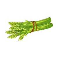 illustration vectorielle de dessin animé vert asperge vecteur