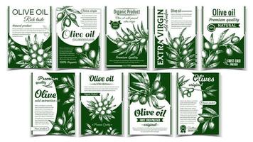 vecteur de jeu d'affiches originales de produits biologiques d'olives