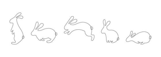 ensemble d'illustration vectorielle linéaire de lapins de l'est vecteur