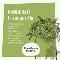 huile de camomille artisanale, bannière de parfum aromatique vecteur