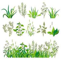 paysage d'herbes et d'herbes, de feuillages et de plantes vecteur