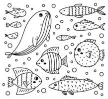 ensemble de différents poissons mignons isolés sur fond blanc. illustration vectorielle dessinée à la main dans un style doodle. parfait pour les décorations, logo, divers designs. vecteur