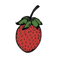 vecteur clipart fraise. icône de baies dessinées à la main. illustration de fruits. pour l'impression, le web, le design, la décoration