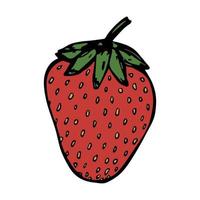 vecteur clipart fraise. icône de baies dessinées à la main. illustration de fruits. pour l'impression, le web, le design, la décoration