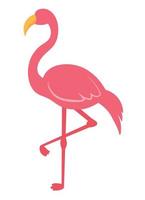 flamant rose plat animé oiseau faune animal illustration vectorielle vecteur