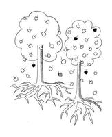 image de doodle deux arbres et feuilles en forme de coeur tombées. les racines. enfants art dessiné à la main. vecteur