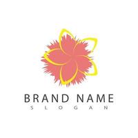 beauté plumeria icône fleurs design illustration symbole vecteur