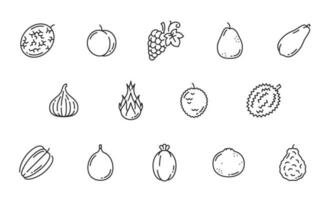 icônes de ligne de fruits exotiques crus, pictogrammes de contour vecteur