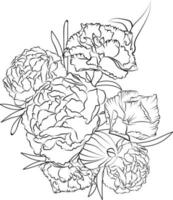 art de crayon de fleur d'oeillet, page de coloriage de vecteur de contour noir et blanc et livre pour adultes et enfants fleurs rose clou de girofle, avec des feuilles dessinées à la main illustration d'encre gravée conception artistique.