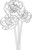 bouquet d'oeillets, de fleurs pour carte ou impression. illustration de fleurs peintes à la main isolées sur fond blanc, pages de coloriage florales gravées à l'encre et livres à imprimer. vecteur
