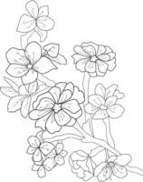 croquis dessinés à la main de fleurs de cerisier, illustration vectorielle et éléments floraux de livres à colorier pour adultes. vecteur