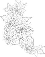 art de croquis de fleur de dahlia, style vintage imprimé pour des pages à colorier de fleurs mignonnes.illustration vectorielle d'une belle fleur avec un bouquet de dahlia nénuphar et de feuilles. isolé sur fond blanc. vecteur