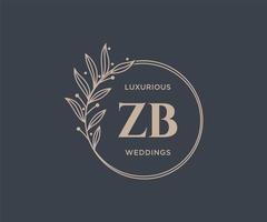 modèle de logos de monogramme de mariage lettre initiales zb, modèles minimalistes et floraux modernes dessinés à la main pour cartes d'invitation, réservez la date, identité élégante. vecteur