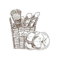 illustration de croquis dessinés à la main de vecteur de panier carré en osier avec des baguettes et des petits pains. dessin isolé sur fond blanc. icône de croquis et élément de boulangerie.