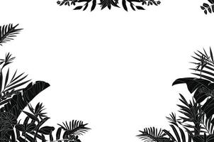 imprimer le style de fond noir et blanc, jungle florale exotique. modèle vectorielle continue à la mode. vecteur