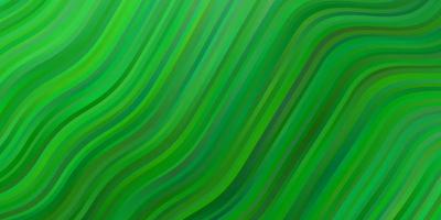 texture de vecteur vert clair avec arc circulaire.