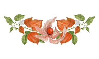 branche de physalis horizontale aquarelle. illustration de vecteur dessiné à la main