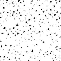 le vol des oiseaux survole les bois. une illustration vectorielle vecteur