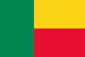 drapeau du bénin illustration simple pour le jour de lindépendance ou les élections vecteur