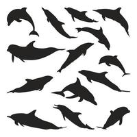 ensemble de silhouettes d'animaux dauphins de différents styles vecteur