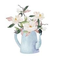 aquarelle blanc magnolia floraison fleur branche bouquet dans un vase en verre clipart vecteur