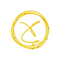 logo initial de nouilles cercle x vecteur