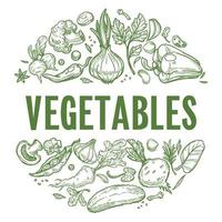 légumes frais verdure et étiquettes de produits vecteur