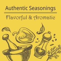 assaisonnement authentique, mélange savoureux et aromatique vecteur