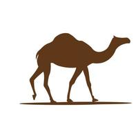 vecteur de logo de chameau