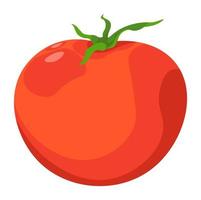 tomate crue fraîche, vecteur d'aliments naturels végétaux