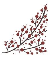 branches aux fruits rouges, gui d'hiver de Noël vecteur