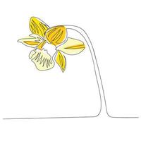 dessin d'une ligne de narcisse. fleur en ligne continue. illustration minimaliste dessinée à la main. vecteur. vecteur