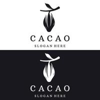 conception de modèle de logotype de plante de gousse de cacao au chocolat, fève de cacao, arrière-plan isolé de plante biologique exotique. vecteur