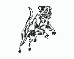 illustration vectorielle de chien boxer, vecteur de chien boxer sur fond blanc