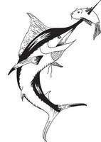 illustration de poisson marlin sautant vecteur