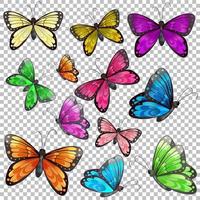 ensemble de papillons différents sur fond transparent vecteur