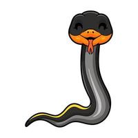 dessin animé mignon de serpent de rat de cuivre noir vecteur