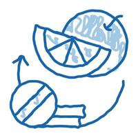 médicaments et fruits suppléments doodle icône illustration dessinée à la main vecteur