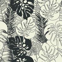 motif tropical sans soudure de lété avec des feuilles de palmier monstera vecteur