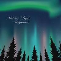 Illustration de paysage Northern Lights vecteur